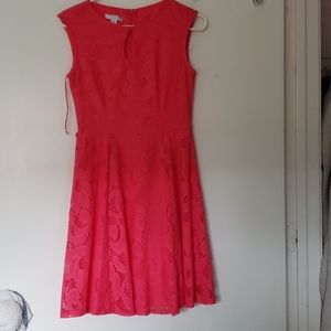 Pink Dress